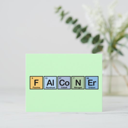 Carte Postale Falconer en éléments (Debout devant)