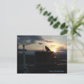 Carte postale Falcons de la bibliothèque du Bois (Debout devant)