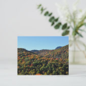 Carte Postale Fall Foliage le long de Blue Ridge Parkway, NC (Debout devant)