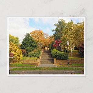 Carte postale Fall Foliage Washington, D.C.