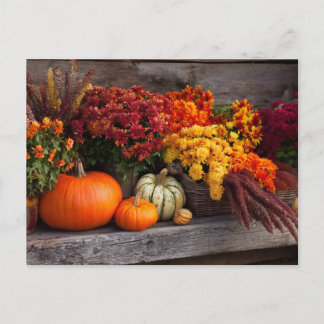 Carte Postale Fall Harvest Tablescape - Autumn Pumpkins Flowers
