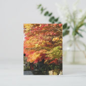 Carte Postale Fall lined street, Nikko, Japon (Debout devant)