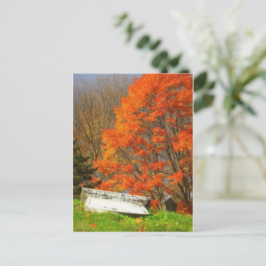 Carte Postale Fallen (Debout devant)