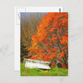 Carte Postale Fallen (Devant / Derrière)