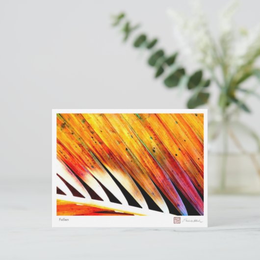 Carte Postale Fallen (Debout devant)