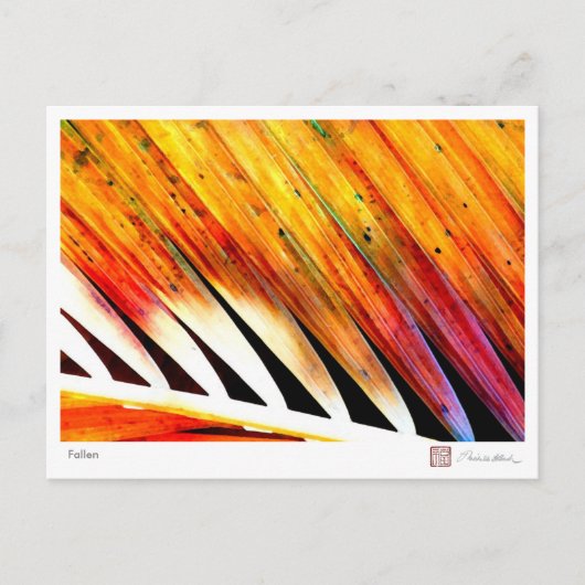 Carte Postale Fallen (Devant)