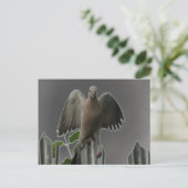 Carte postale Fallen Angel Dove (Debout devant)