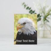 Carte Postale Falln Bald Eagle Liberty (Debout devant)