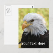 Carte Postale Falln Bald Eagle Liberty (Devant / Derrière)