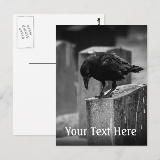 Carte Postale Falln Cemetery Crow (Devant / Derrière)