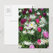 Carte Postale Falln Romantique Printemps matin (Devant / Derrière)