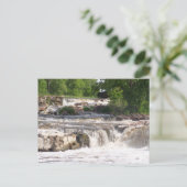 Carte postale Falls (Debout devant)