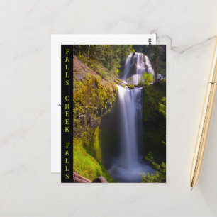 Carte Postale Falls Creek Falls Gifford Pinchot National Forest
