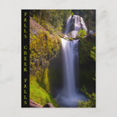 Carte Postale Falls Creek Falls Gifford Pinchot National Forest (Devant)