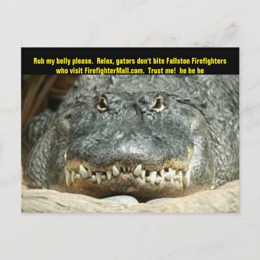 Carte postale Fallston Firefighter (Devant)