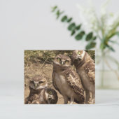 Carte Postale fam uil (Debout devant)