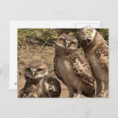 Carte Postale fam uil (Devant / Derrière)