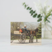 Carte Postale Famille Amish - Accueil (Debout devant)