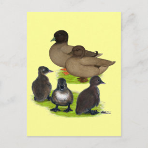 Carte Postale Famille Call Duck Khaki