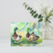 Carte Postale famille de canards (Debout devant)