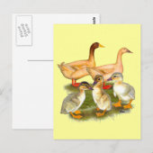 Carte Postale Famille de canards Buff Orpington (Devant / Derrière)