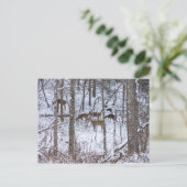 Carte Postale Famille De Cerfs En Neige (Debout devant)