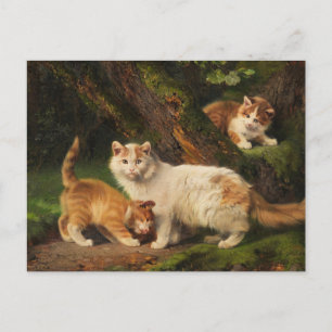 Carte Postale Famille de chat Jouer   Julius Adam le Jeune