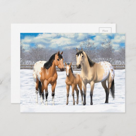 Carte Postale Famille De Cheval Appaloosa En Peau De Bouche En N (Devant / Derrière)