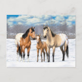 Carte Postale Famille De Cheval Appaloosa En Peau De Bouche En N (Devant)