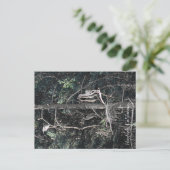 Carte Postale Famille de Héron... (Debout devant)