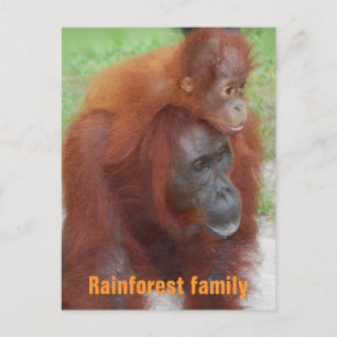 Carte Postale Famille de la forêt tropicale de Kalimantan en Ind