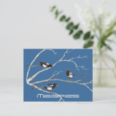 Carte Postale Famille de Magpies, oiseaux, nature, faune (Debout devant)