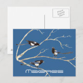 Carte Postale Famille de Magpies, oiseaux, nature, faune (Devant / Derrière)