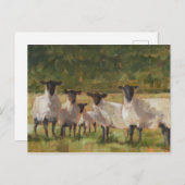 Carte Postale Famille de moutons (Devant / Derrière)