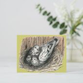 Carte Postale Famille de pigeons (Debout devant)