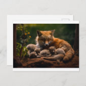 Carte Postale Famille de renards dans la nature (Devant / Derrière)