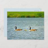 Carte Postale Famille de trois (Devant / Derrière)