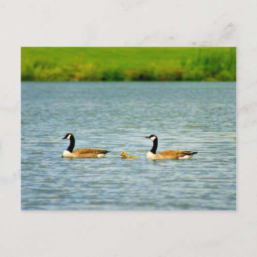 Carte Postale Famille de trois (Devant)