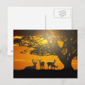 Carte Postale Famille des cerfs (Devant / Derrière)