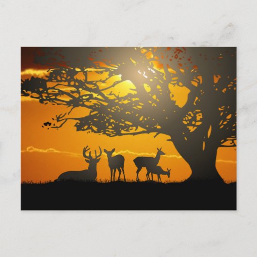 Carte Postale Famille des cerfs (Devant)