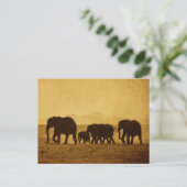 Carte Postale Famille des éléphants (Debout devant)