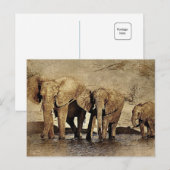 Carte Postale Famille des éléphants (Devant / Derrière)