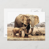 Carte Postale Famille des éléphants (Devant / Derrière)