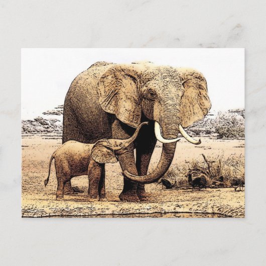 Carte Postale Famille des éléphants (Devant)