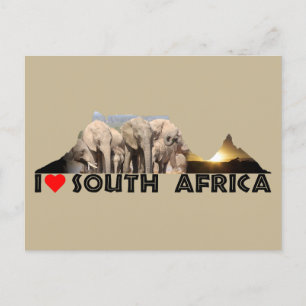 Carte Postale Famille des éléphants de la montagne de la Table
