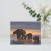 Carte Postale Famille d'ours polaires (Debout devant)