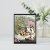 Carte Postale Famille Duck (Debout devant)