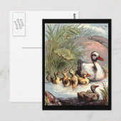 Carte Postale Famille Duck (Devant / Derrière)