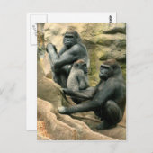 Carte postale Famille Gorilla (Devant / Derrière)