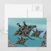 Carte Postale Famille Manta Ray (Devant / Derrière)